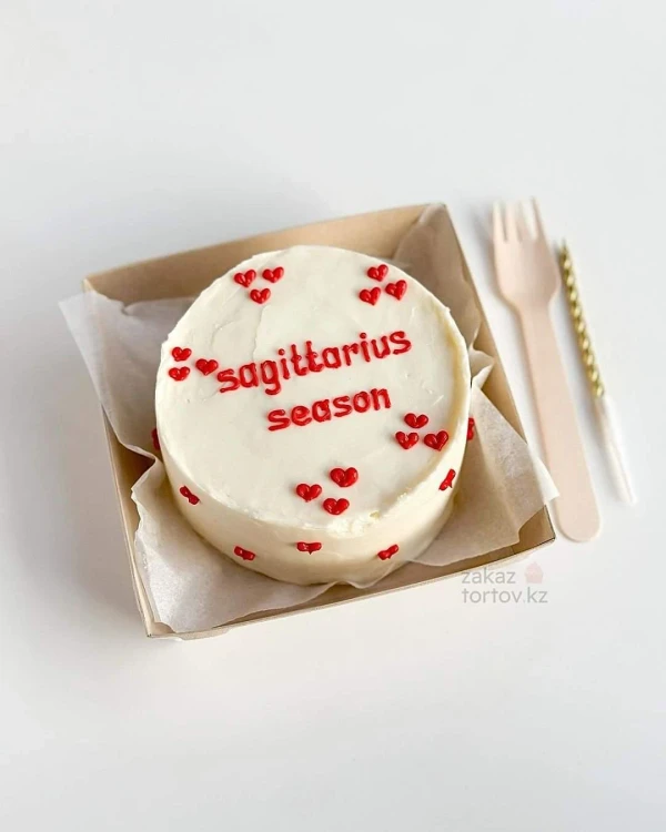 Бенто - торт "Sagittarius season"